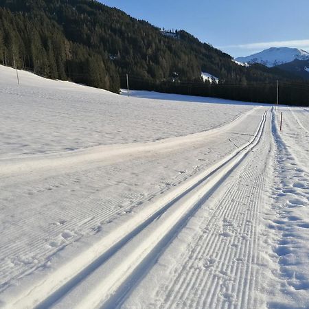 Schoners Einfanghof By Fewo-Planwild006 Niederau Luaran gambar
