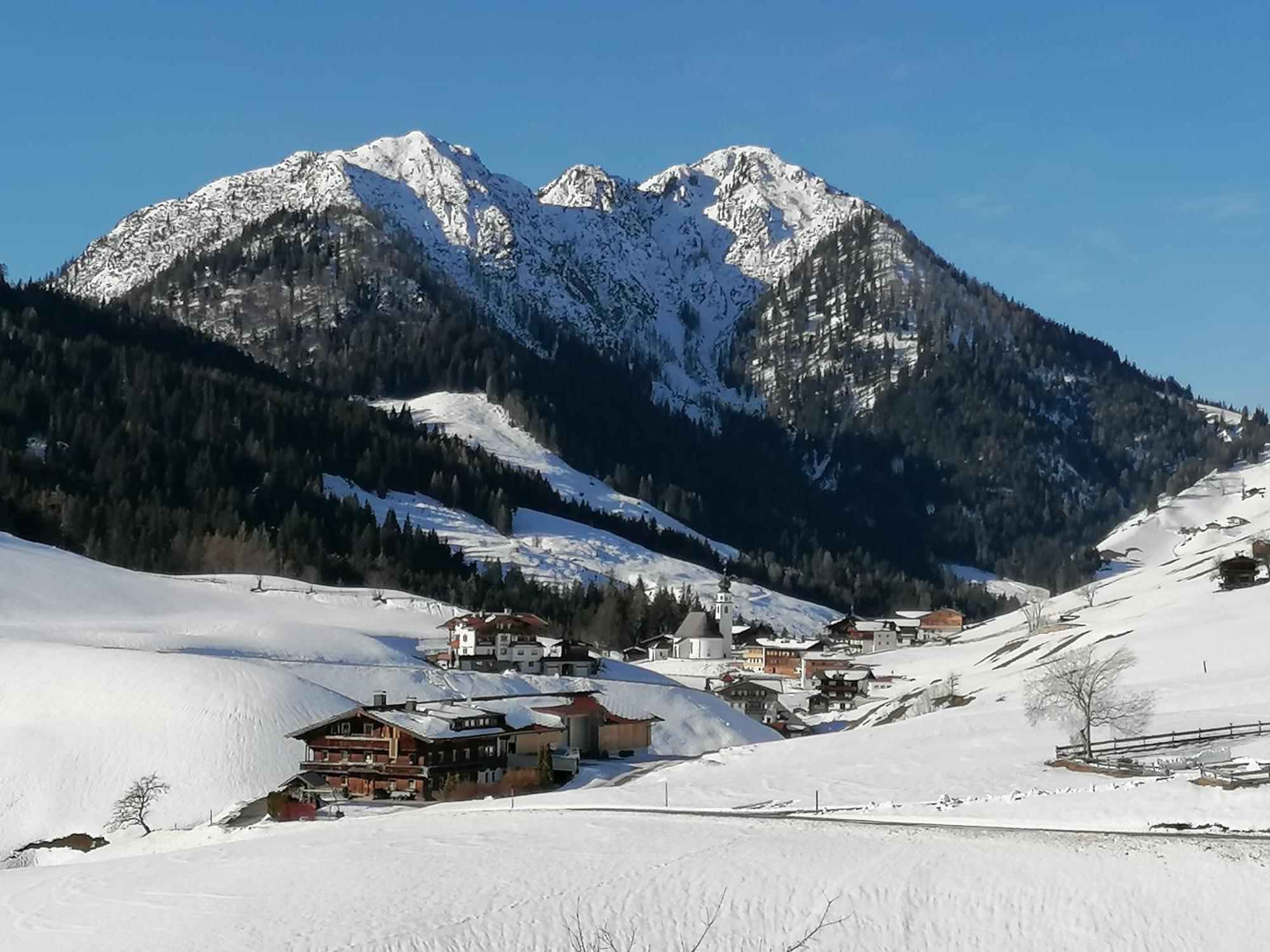 Schoners Einfanghof By Fewo-Planwild006 Niederau Luaran gambar