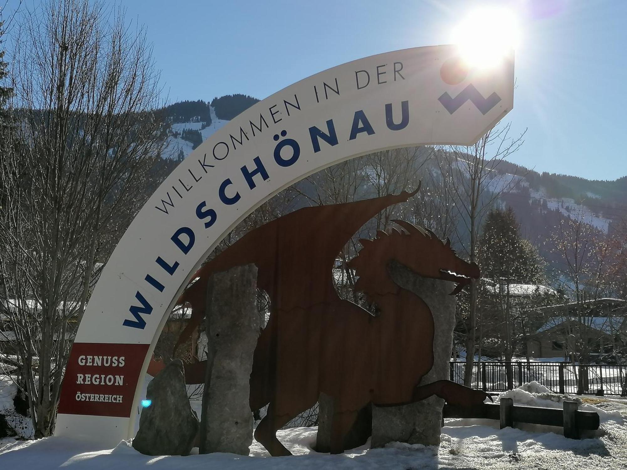 Schoners Einfanghof By Fewo-Planwild006 Niederau Luaran gambar